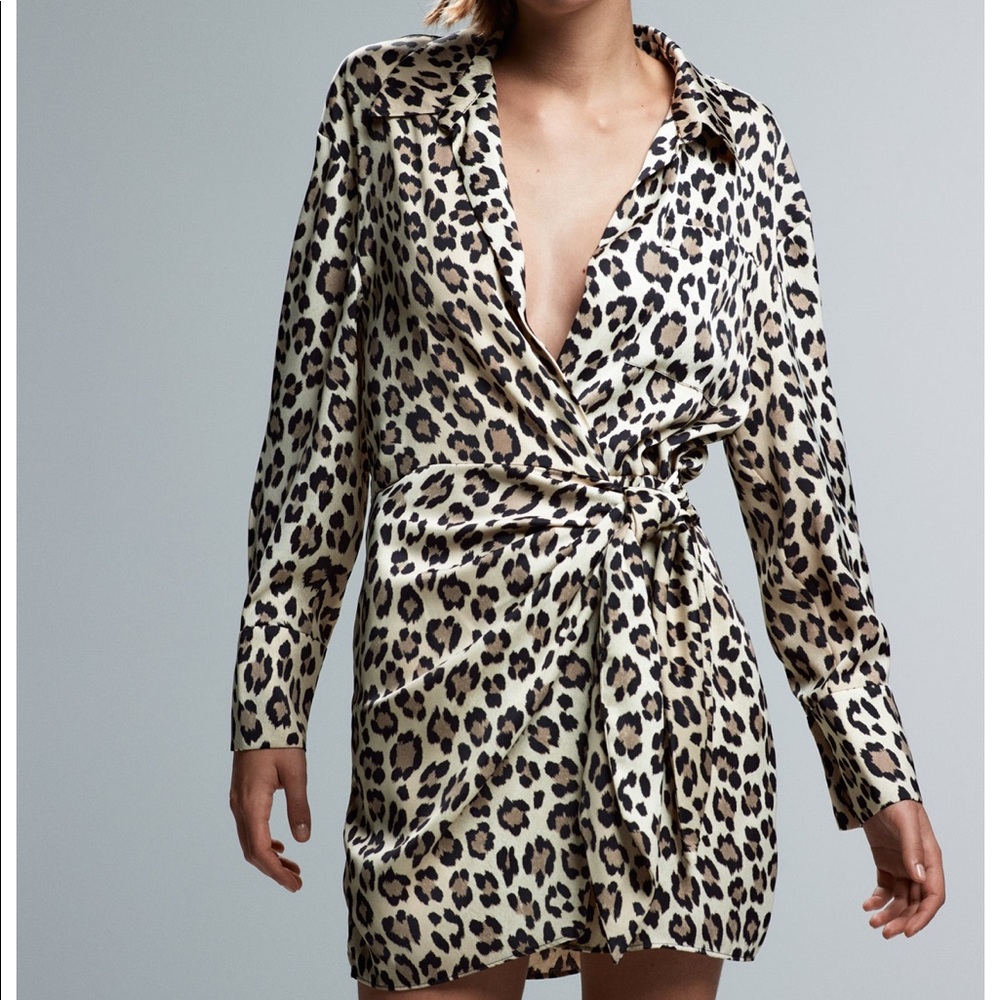 Zara leopard dress size large